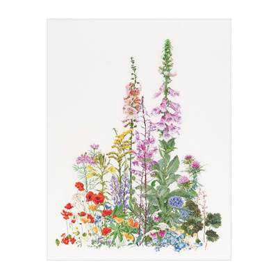 American Wild Flowers - Kit toile Lin - Thea Gouverneur