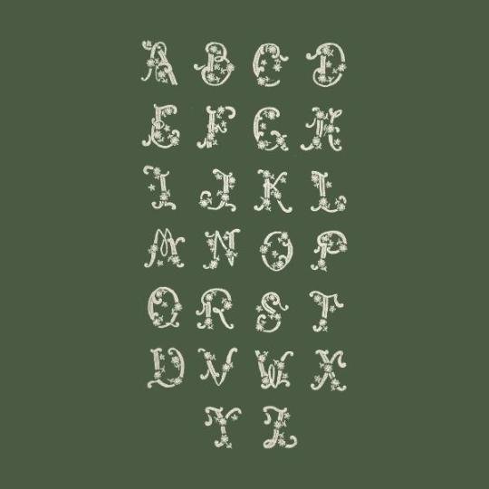 Alphabet d'Autrefois Complet - Un chat dans l'aiguille