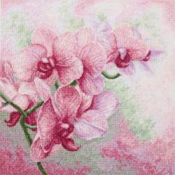 Orchidées Gracieuses - Kit point de croix - Luca-S