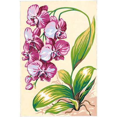 Orchidée - Canevas Fleurs - SEG de Paris