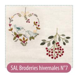 Broderies Hivernales n°7  - Kit SAL Un chat dans l'aiguille