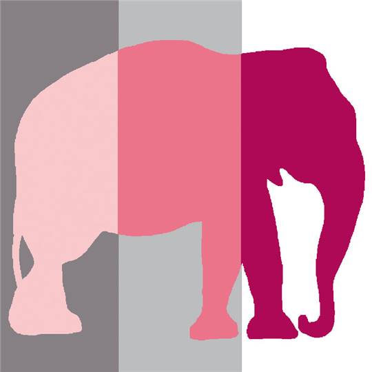 Éléphant - Kit Canevas pour enfant - Luc Créations