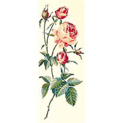 Roses - Canevas Pénélope - SEG de Paris